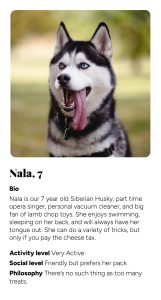 nala.jpg