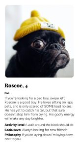 roscoe.jpg