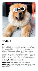 todd.jpg